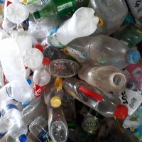 خرید پت با بالاترین قیمت بصورت نقدی