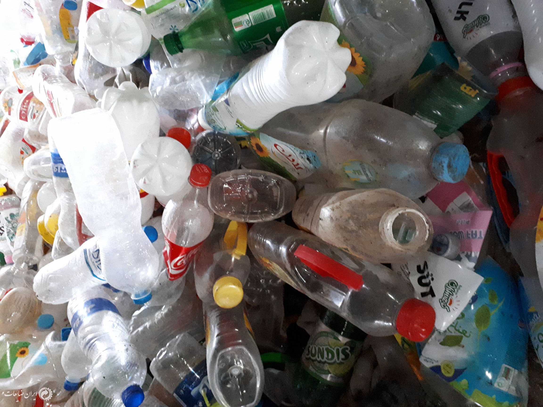 خرید پت با بالاترین قیمت بصورت نقدی