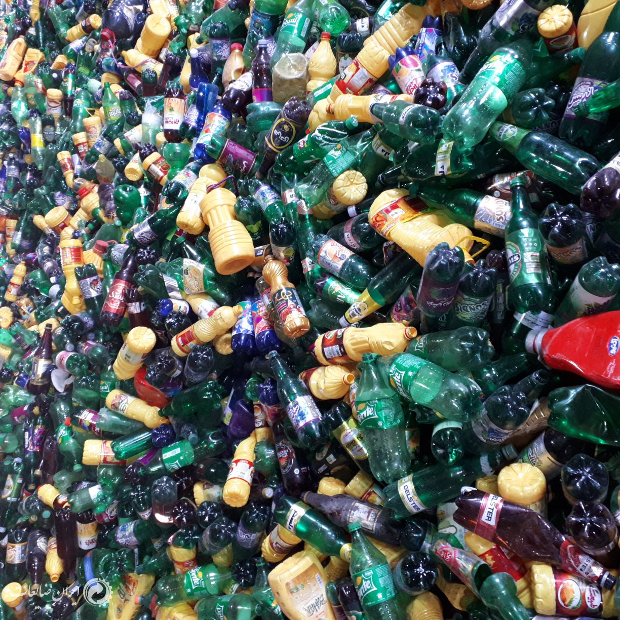 خرید پت با بالاترین قیمت بصورت نقدی