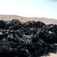 فروش نوار لاستیکی