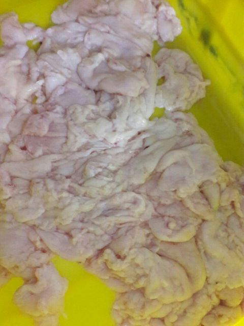 فروش ضایعات مرغ