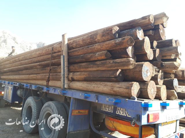 فروش تیر برق چوبی در ابعاد مختلف