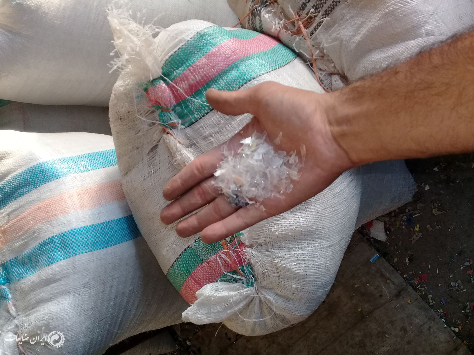 فروش بی رنگ راگا آسیابی‌.