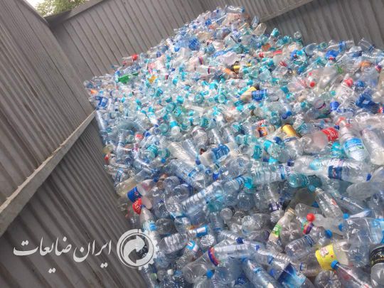 فروش پت زنده