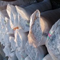 فروش بی رنگ راگا آسیابی‌.