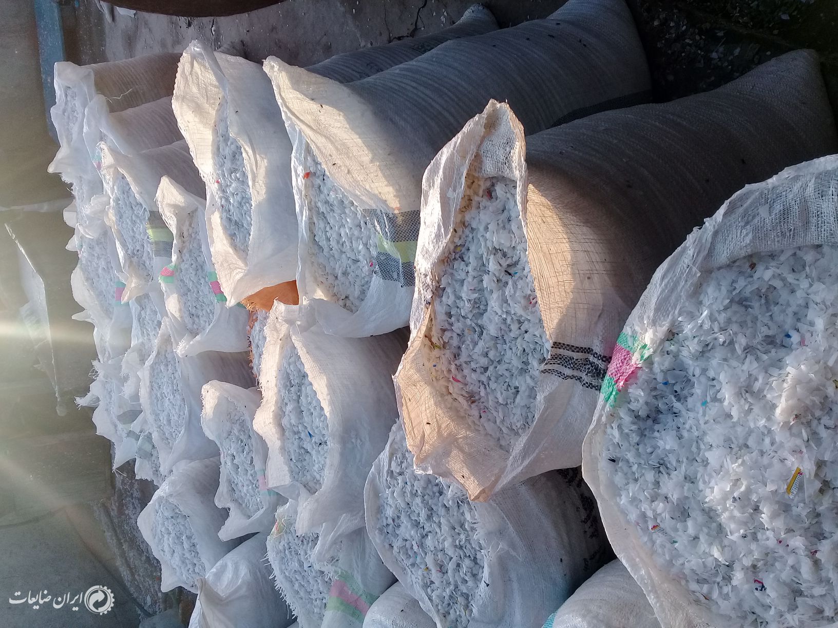 فروش بی رنگ راگا آسیابی‌.