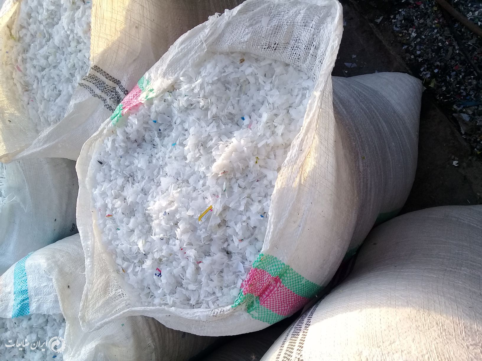 فروش بی رنگ راگا آسیابی‌.