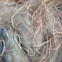 تور ماهیگیری شمال