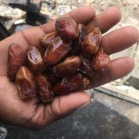 خرید ضایعات خرما