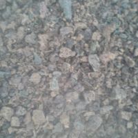خرید مواد اکسیدور گونیpp