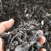 فروش ضایعات پ پ