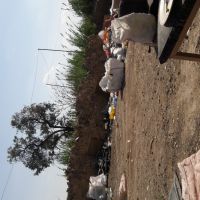 انواع مواد اسیابی سبد وبادی وتزریقی