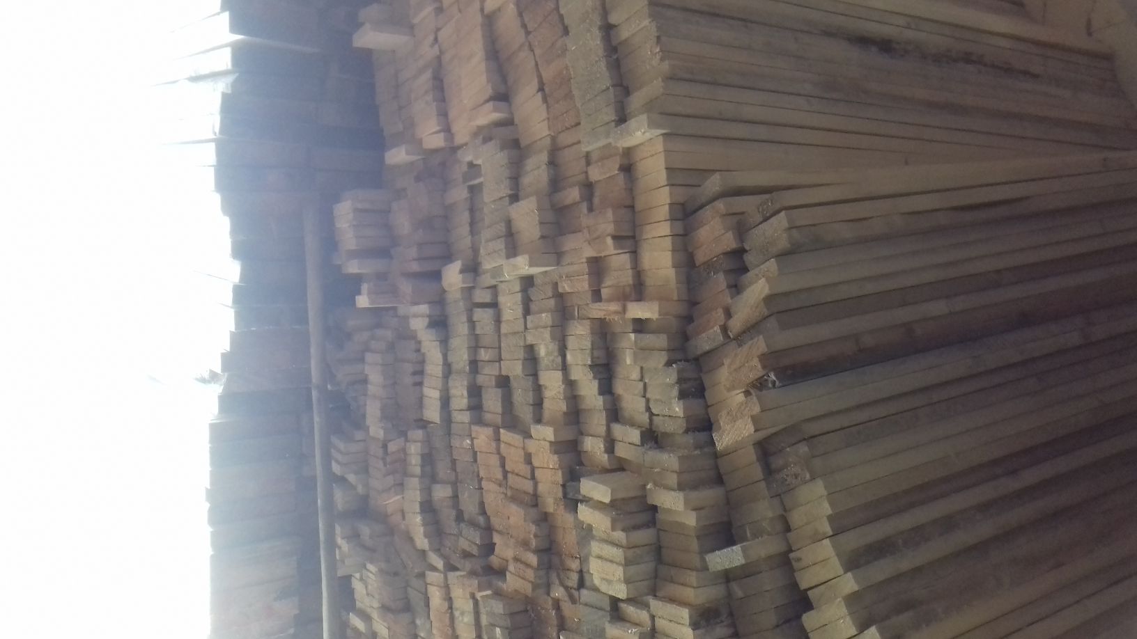 فروش تخته روسی