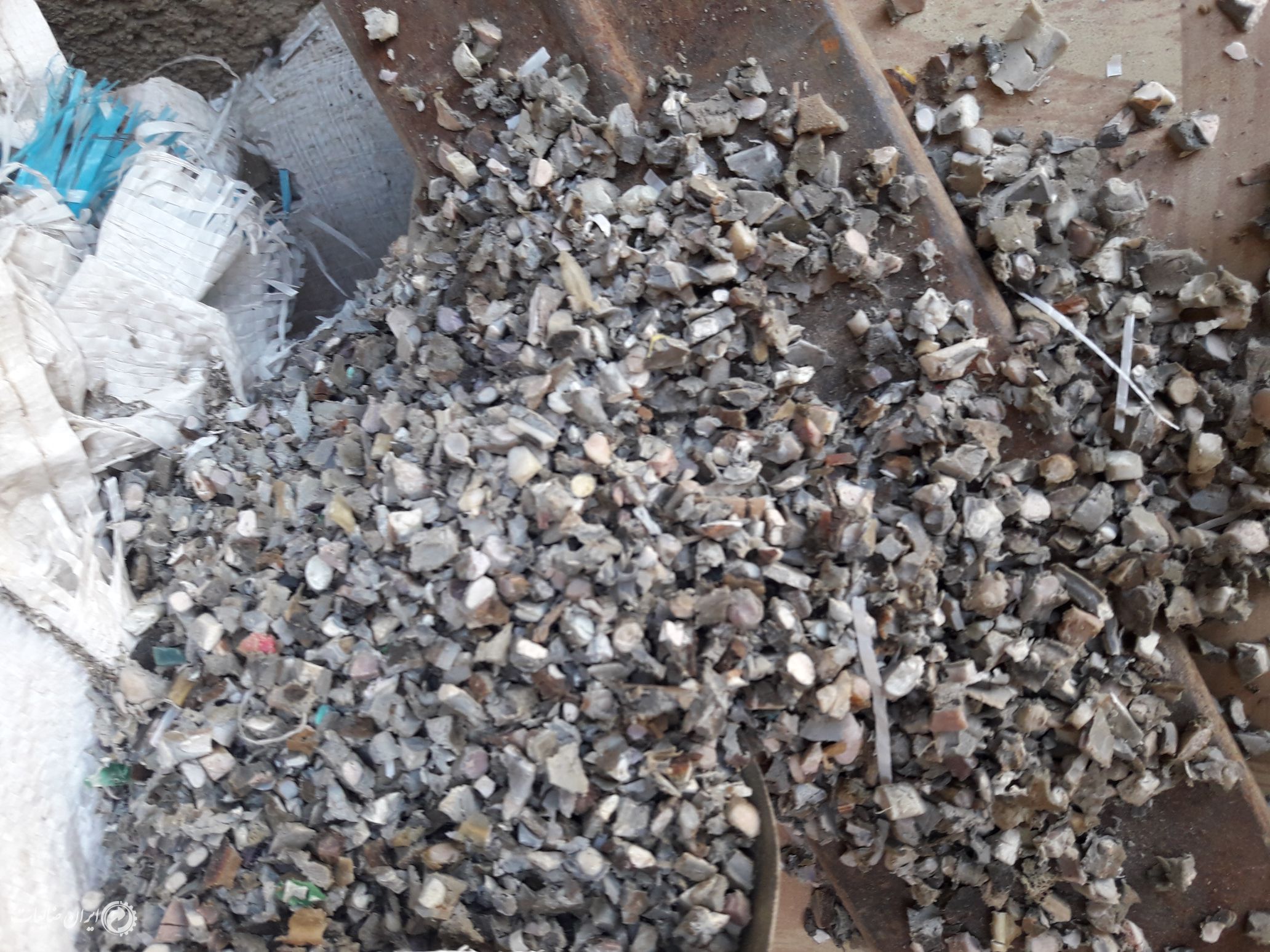 خریدار شیلنگ و دمپایی زنده