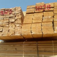 فروش چوب روسی