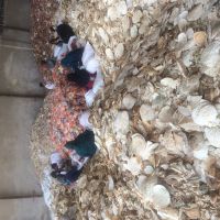 خرید 100 تن نان خشک