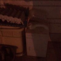 خریدار انواع سبد میوه  وانواع لاک نرم
