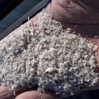 فروش مواد کندوری