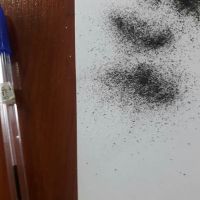 فروش لودر بصورت کیلویی