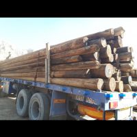 تیر برق چوبی از 3 متری تا 15