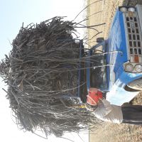 فروش آسیابی پرک تیپ