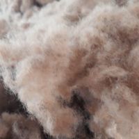 فروش الیاف حلاجی شده