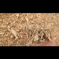 ضایعات چوب نوپان وسه لای وپالت