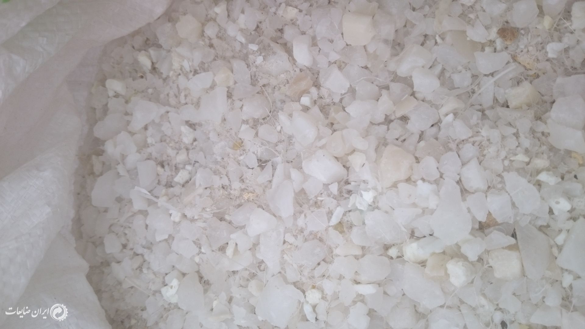 پ پ اسیابی بی رنگ