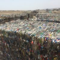 ضايعات پت جلابي
