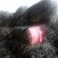 فروش نوار آبیاری