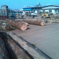 خرید چوب باغی و ضایعات و جنگلی