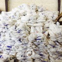 فروش کیسه مواد شرکتی خشک