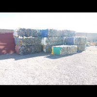فروش پت پرسی درجه یک
