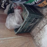 خریدار انواع سبد پرسی و سبد میوه انواع سایز