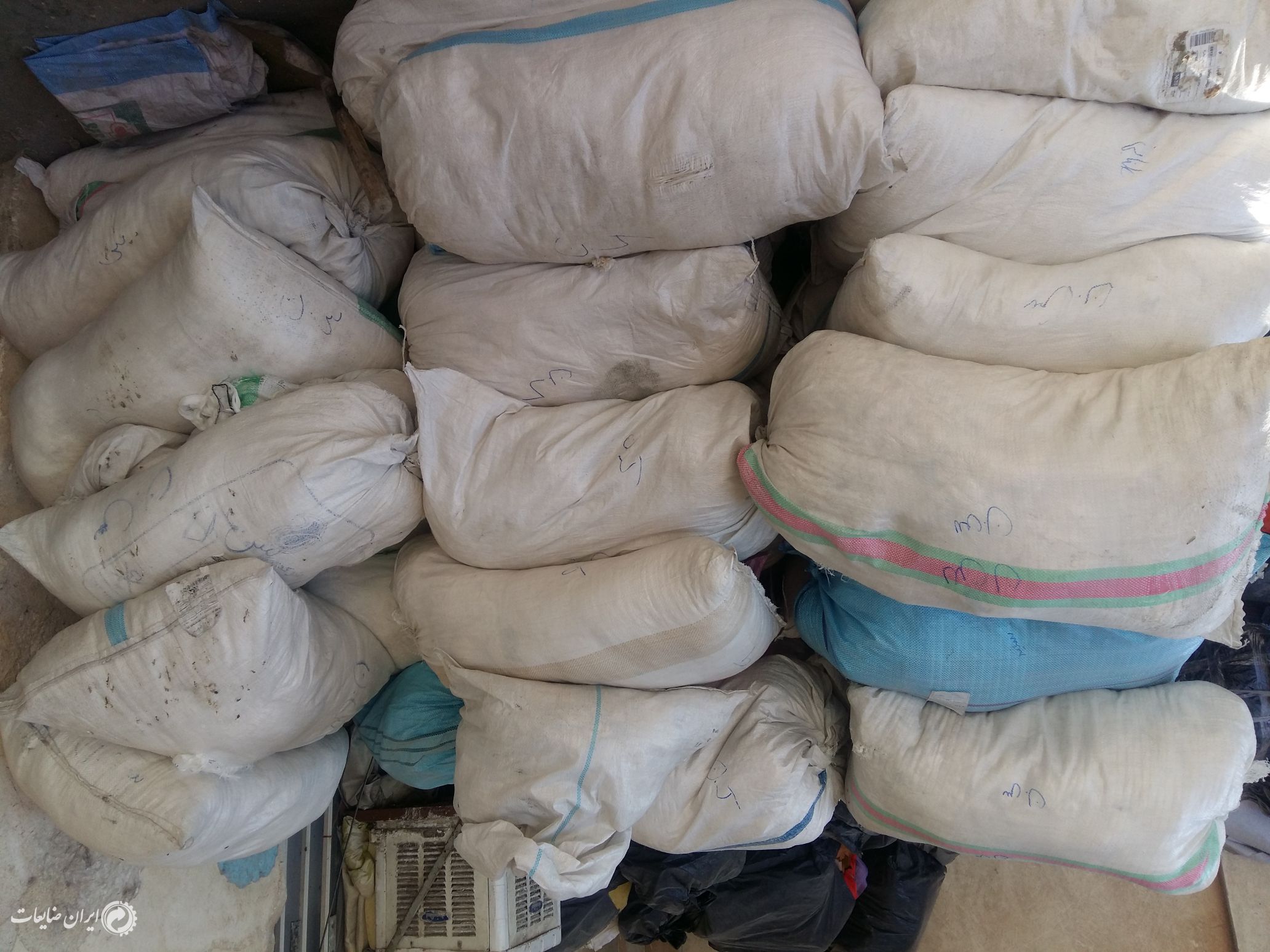 فروش سرنخ پنبه