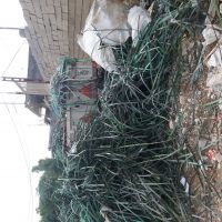 فروش ضایعات تسمه پت