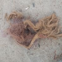 فروش ضایعات PP