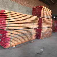 فروش تخته راش گرجستان