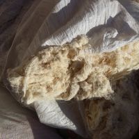 فروش سرنخ پنبه