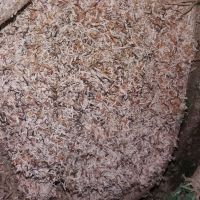 خرید ضایعات پوشال