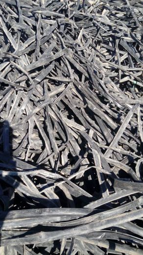 فروش آسيابي نوار تيپ