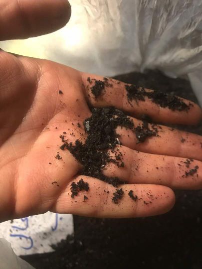 فروش نرمه ذغال چوب