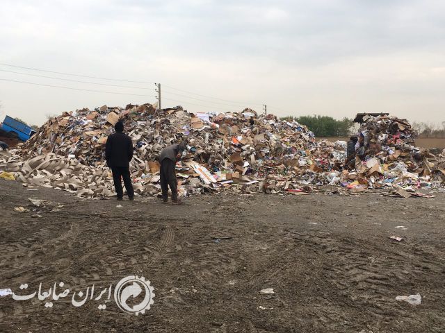 خریدار.کاغذ و کارتن.در محل