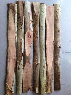 چوب پوسته دار