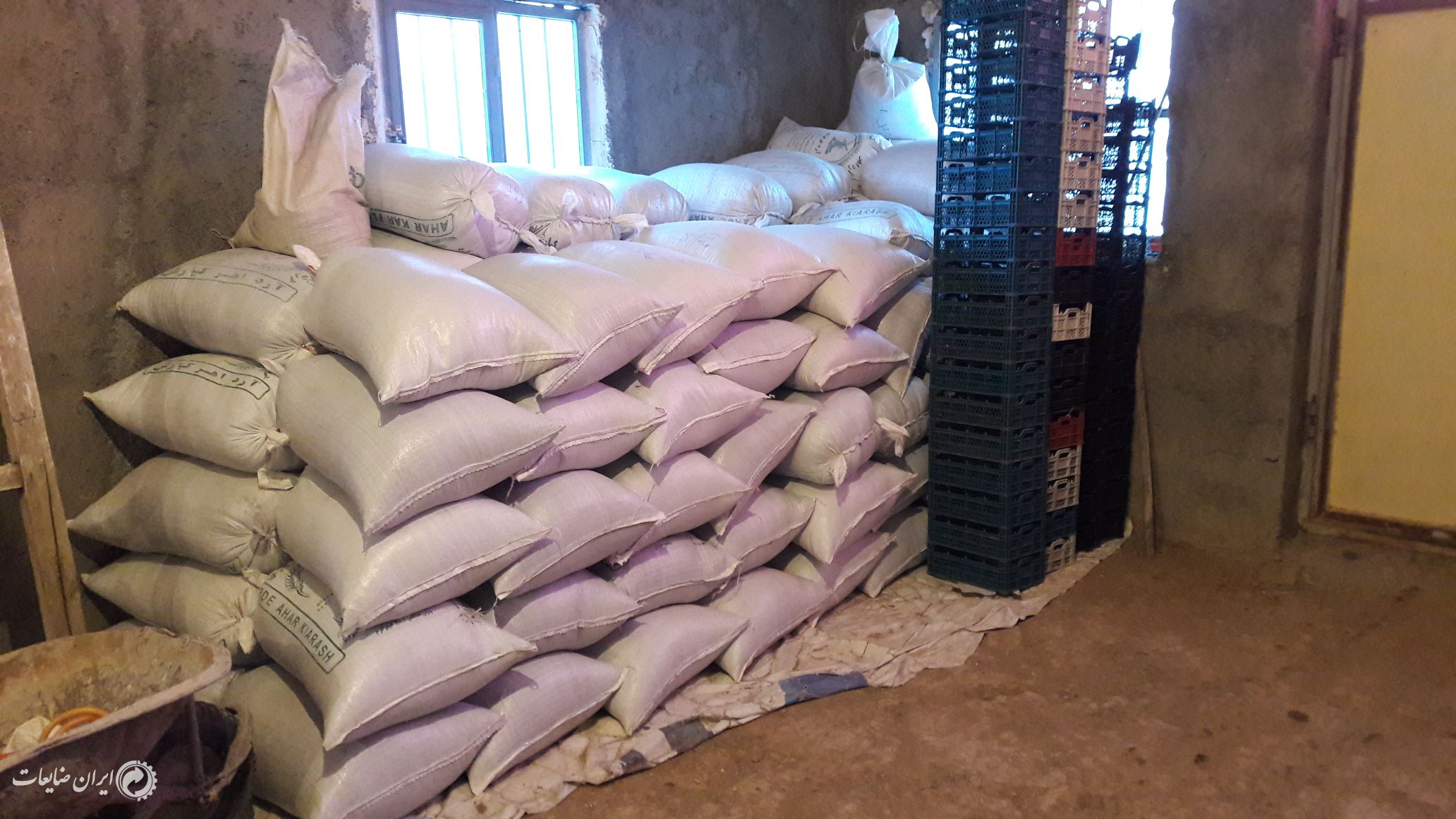 فروش آسیاب شده سبد میوه