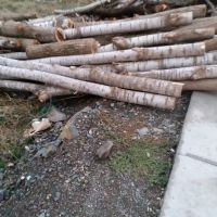 فروش چوب در بانه