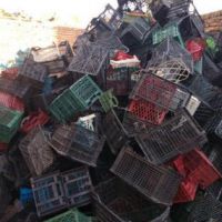 خرید سبد میوه