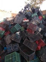 خرید سبد میوه