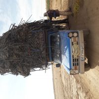 فروش آسیابی نوار تیپ