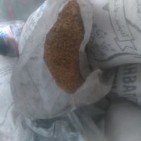 فروش نان خشک